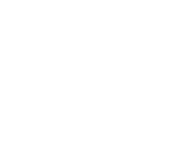 't Hoefijzer